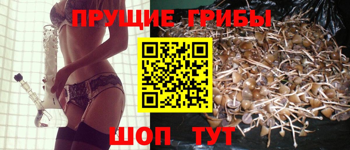 где купить наркотик  Галлюциногенные грибы прущие грибы  Вход с VPN  Псилоцибиновые грибы ЛСД  Чехов 
